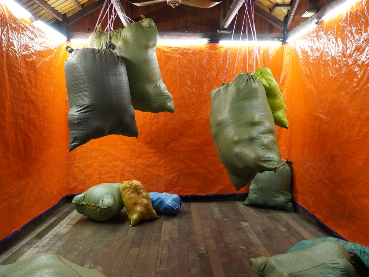 Artist Talk with Nguyễn Hoá, Vicente Arrese &&nbsp;Quế