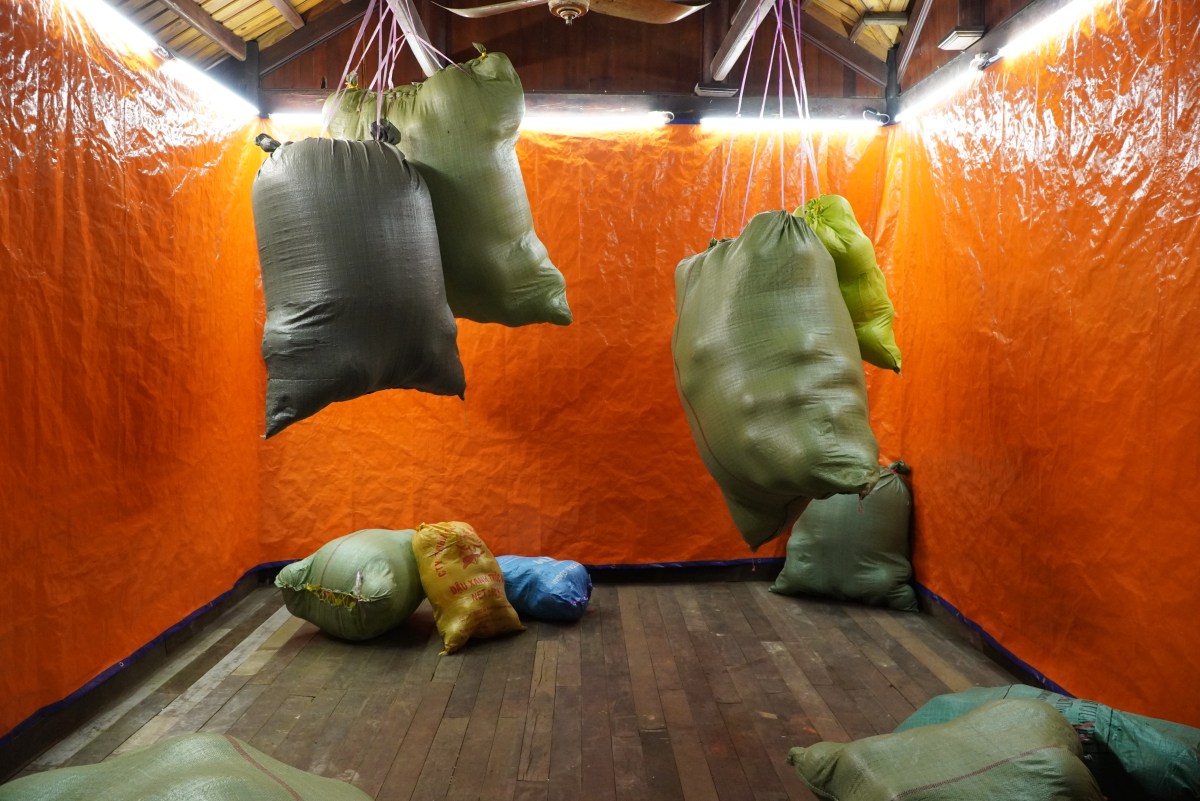 Artist Talk with Nguyễn Hoá, Vicente Arrese &&nbsp;Quế